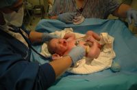 max_born_006.jpg