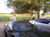 driveway.jpg (121855 bytes)